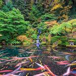 Portland Japanese Garden