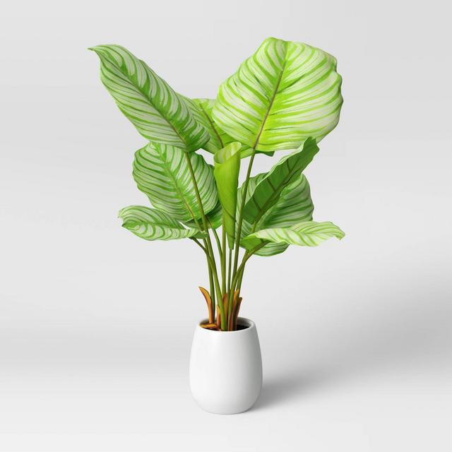 Faux Large Arrowroot in Pot White - Opalhouse™