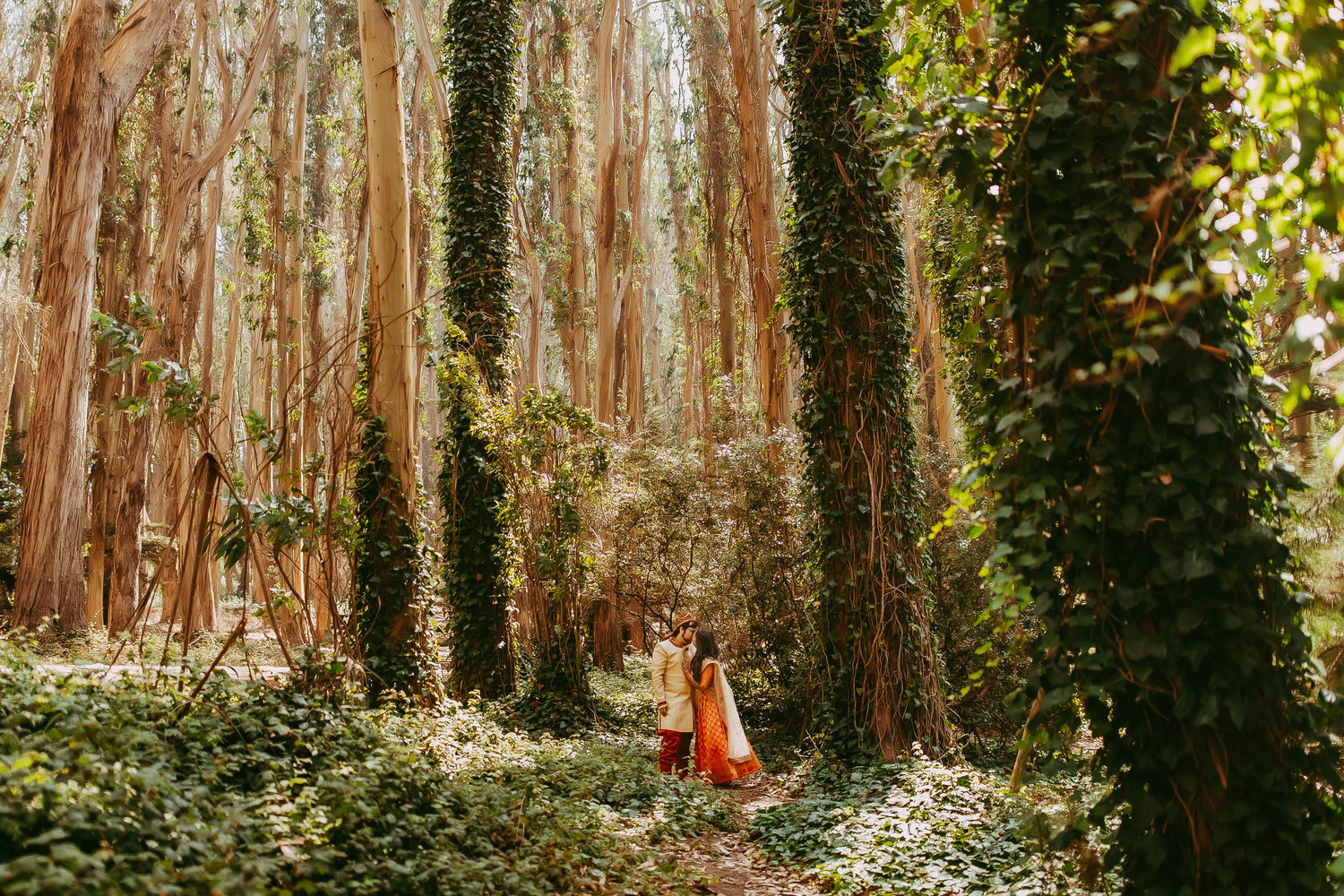 The Wedding Website of Anila Kumar and Hayden Robel