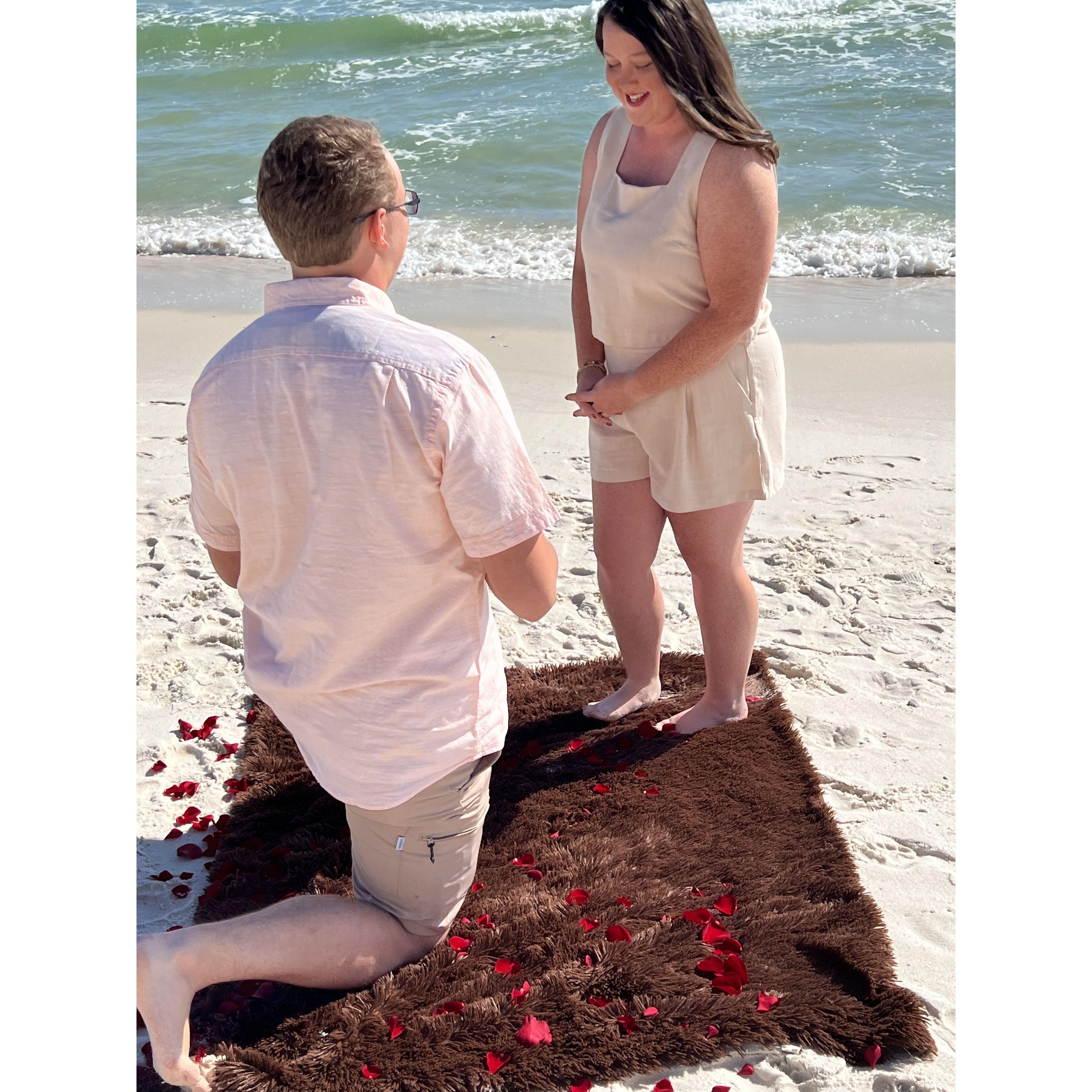 Will you marry me?  YES!!!!