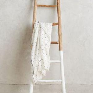 White-Dipped Ladder
