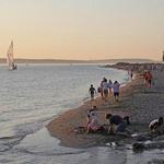 Golden Gardens Park