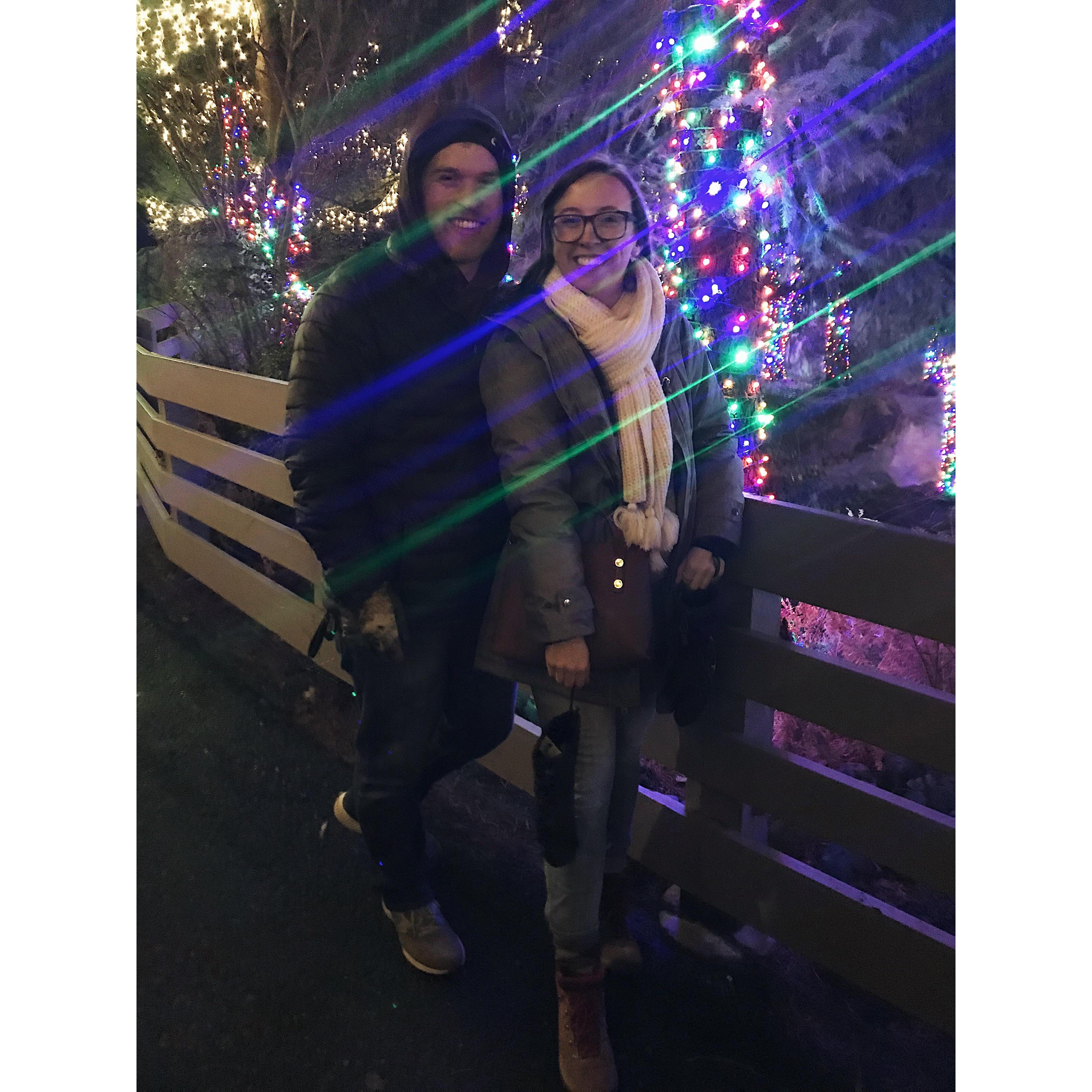 Zoo Lights 2018