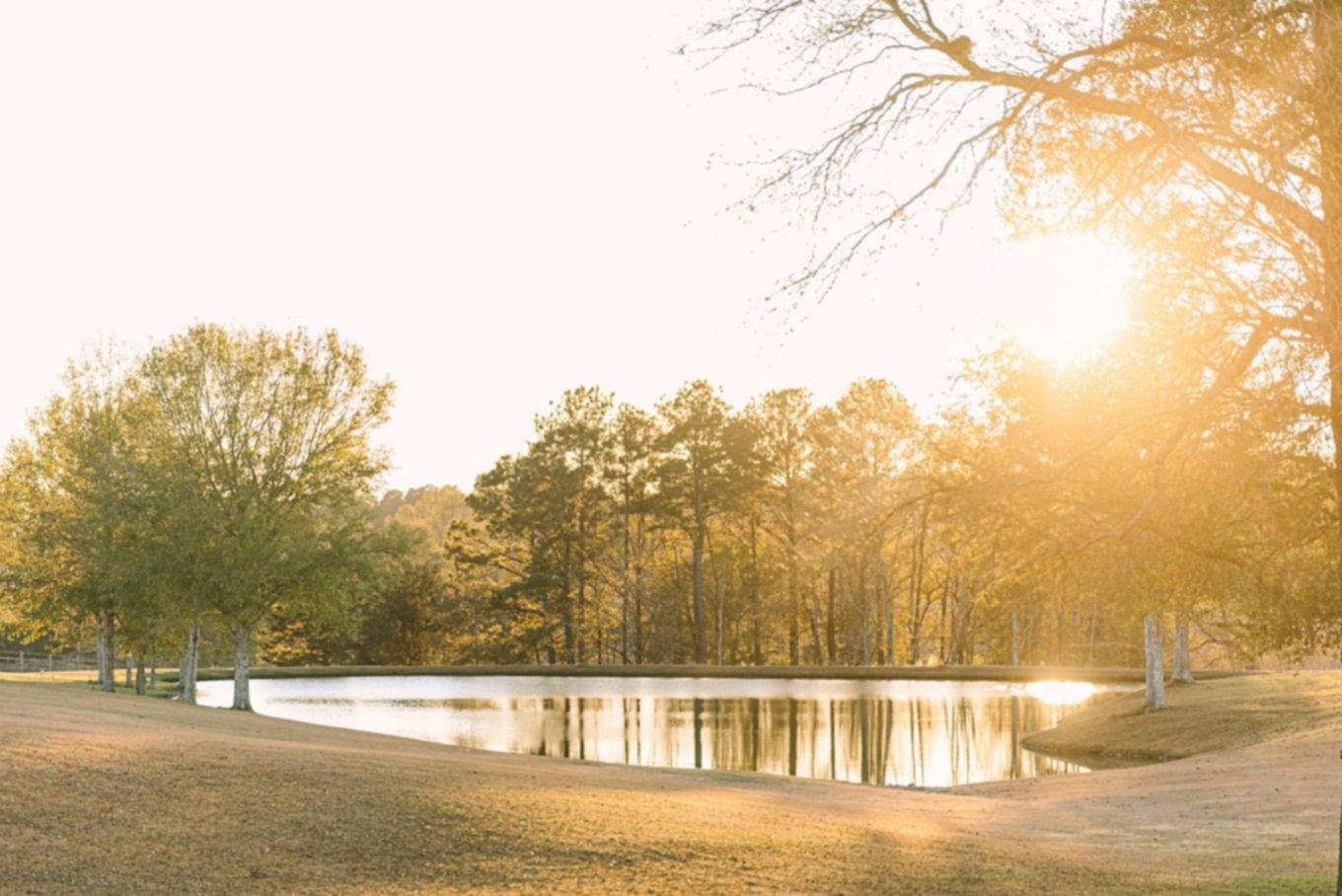 The Wedding Website of Madison Hartman and Nicholas LaNeve