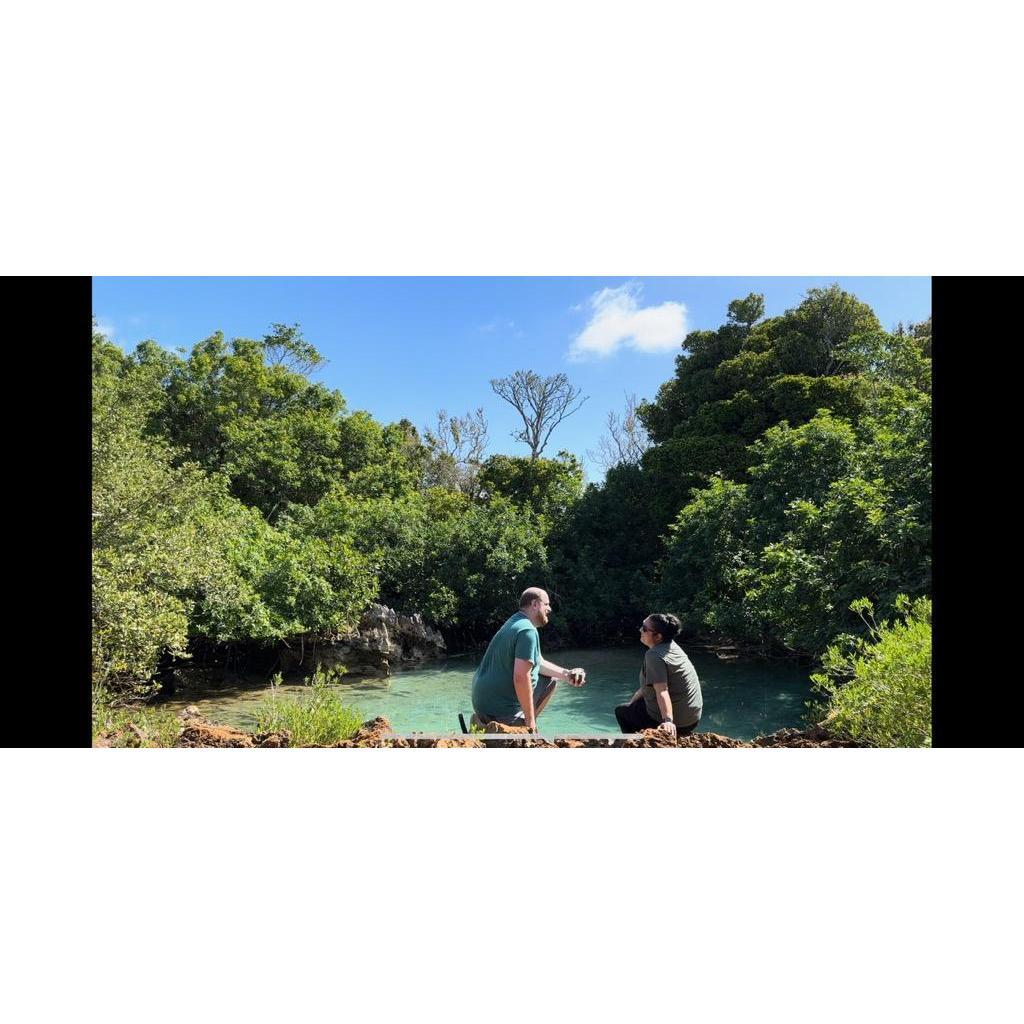 The proposal, near the Blue Hole in Bermuda