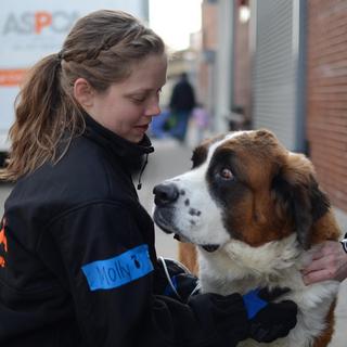 Donation to ASPCA Come to their Rescue Fund
