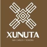 Xunuta