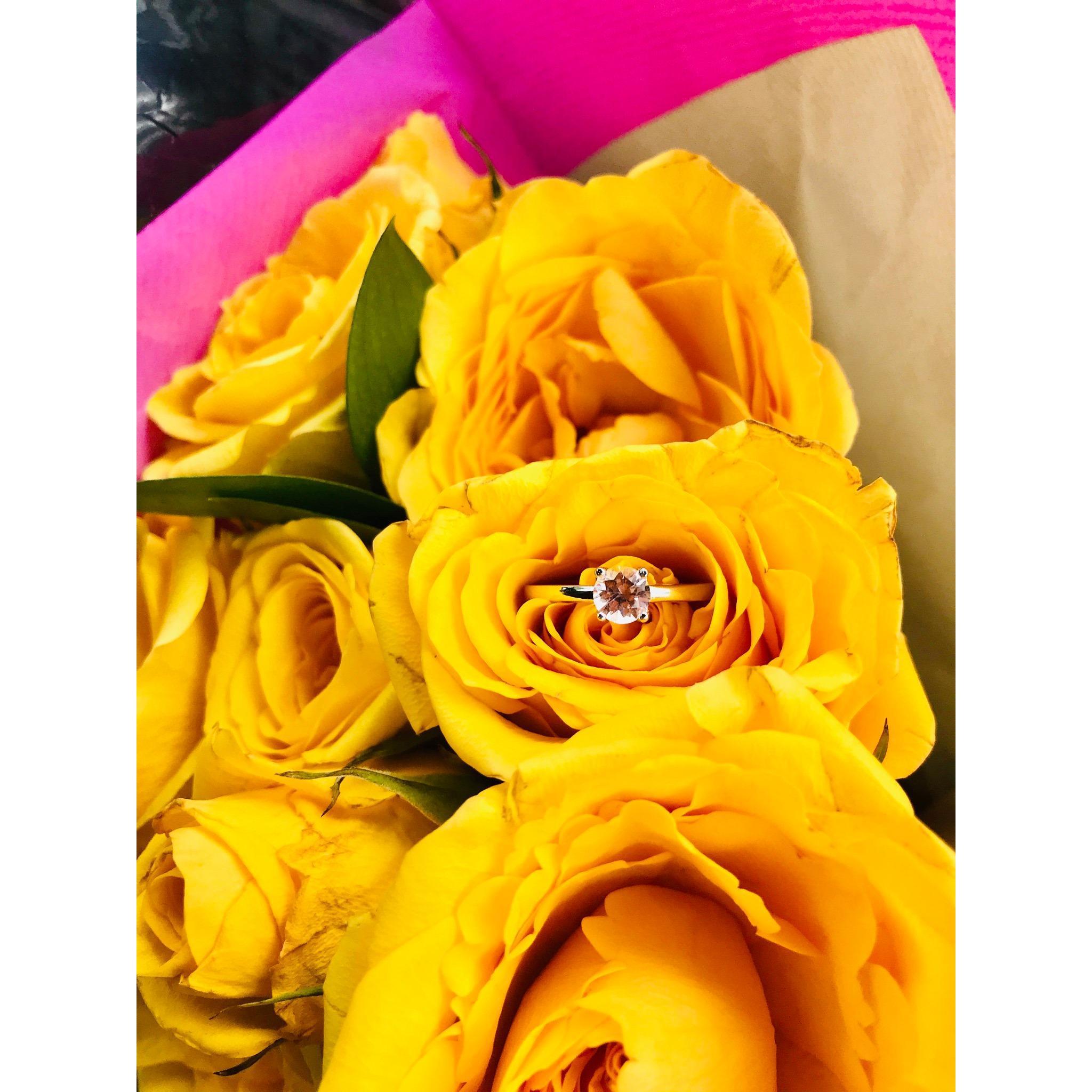 Engagement Ring. Yellow Roses stand for "Friendship & Wisdom". This is our prayer as well that we will be best friends and journey through life's ups and downs with the Love & Wisdom of Jesus Christ