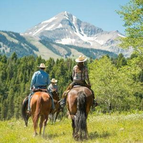 Take us horseback riding on our honeymoon!