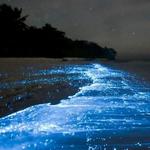 BioBay en Laguna Grande