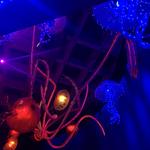 South Carolina Aquarium