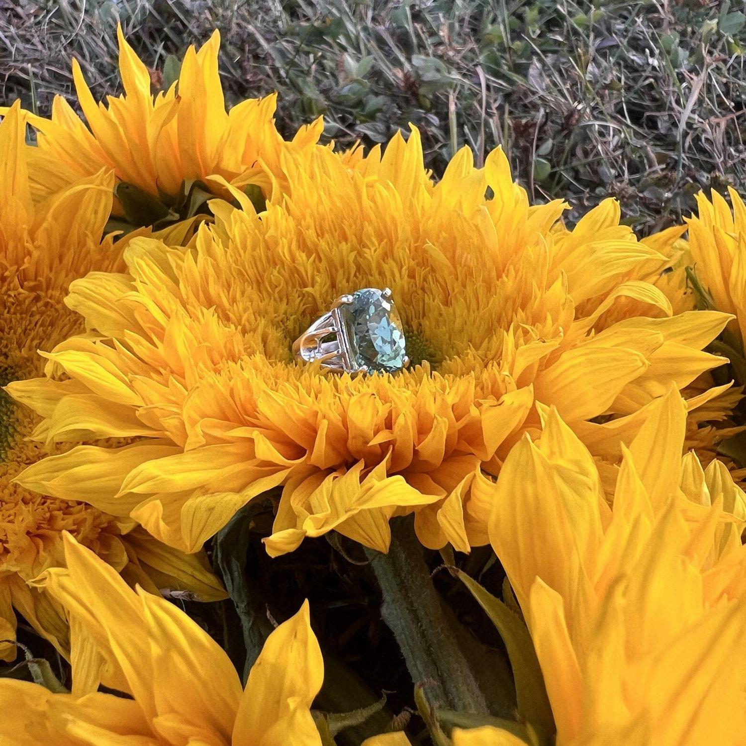 August 18, 2025: A moment for the ring... it's a beautiful green beryl crystal. We found it at the Syracuse arts and crafts fair and I instantly knew that was the ring.