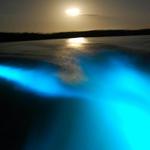 Luminous Lagoon