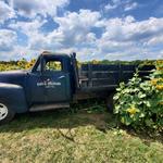 Evans Orchard and Cider Mill