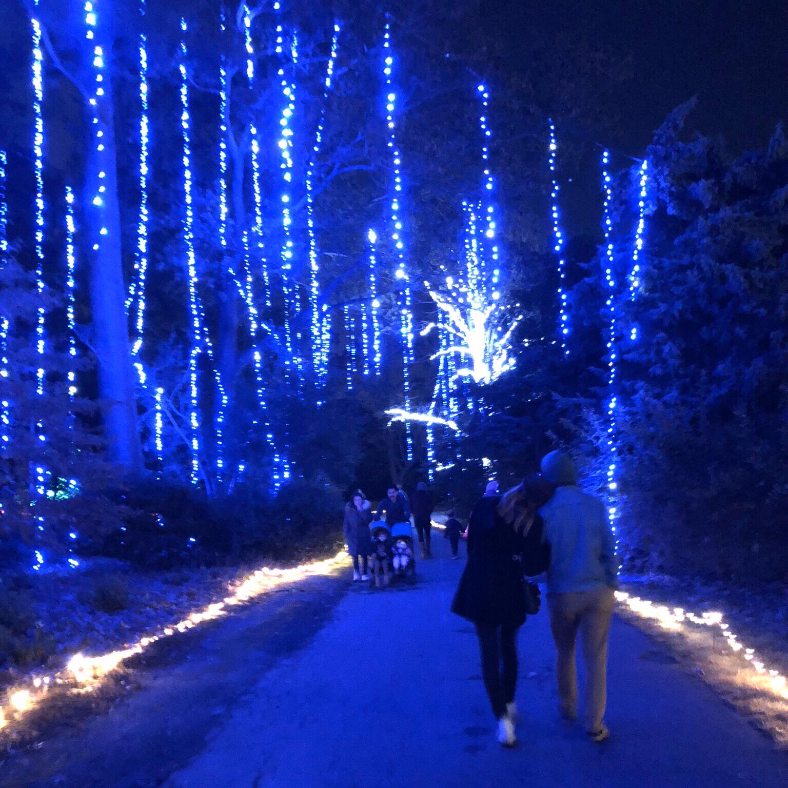 November 2018. Norfolk Botanical Gardens, VA.
