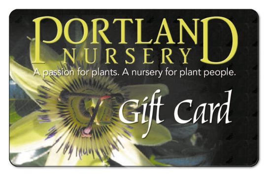 Portland Nursery | Gift Cards