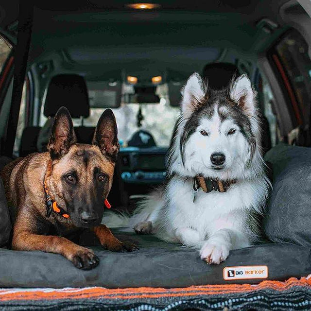 Big Barker Backseat Barker: SUV Edition (Orthopedic Shock-Absorbing Dog Bed for Back of Sport Utility Vehicles)