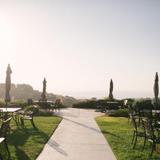 Hilltop wineries with a view - Calcareous Vineyard