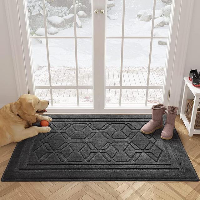 Color G Indoor Door Mat Indoor Mats for Front Door Entry, 20"x32" Entryway Rug Door Mat Indoor Entrance, Non Slip Absorbent Front Door Mat, Washable Low-Profile Entry Rug for Inside House, Dark Grey