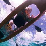 Clearbottom Mangrove Kayak & Snorkel tours