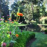 Dunaway Gardens