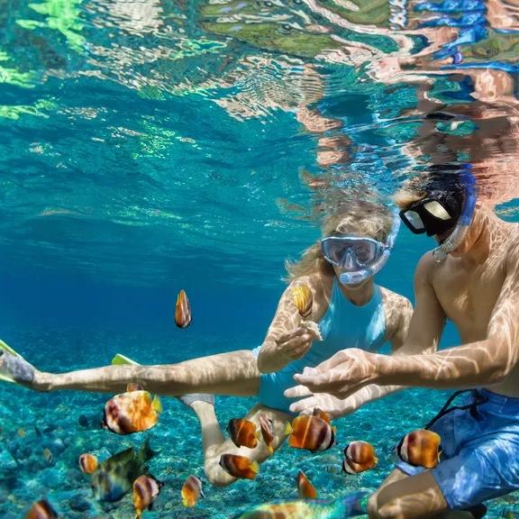 Snorkel Excursion in Grand Cayman