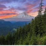 Timberline Lodge