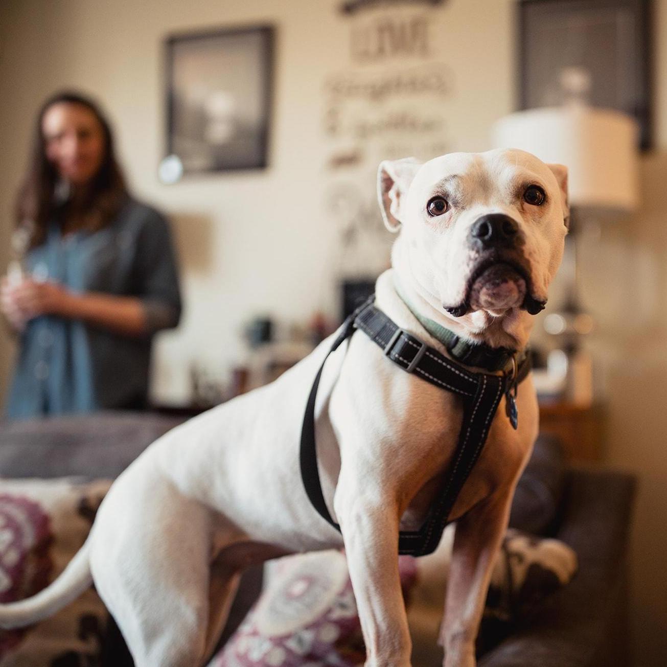 Photo credit: @kyleszetophoto