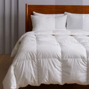 Premium Down Alternative Essentials Bundle in White
