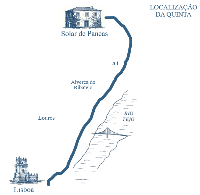 The Wedding Website of Inês Bastos and Pedro Costa