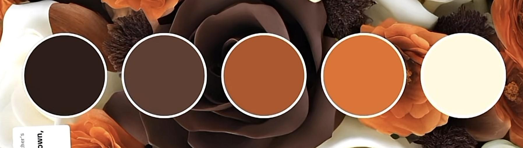 The Wedding Website of Monique Wilson and Steven Francois