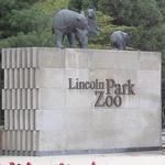 Lincoln Park Zoo