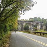 Patapsco Valley State Park - Hollofield Area