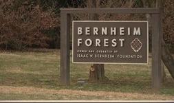 Bernheim Forest