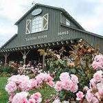 Ponte Winery