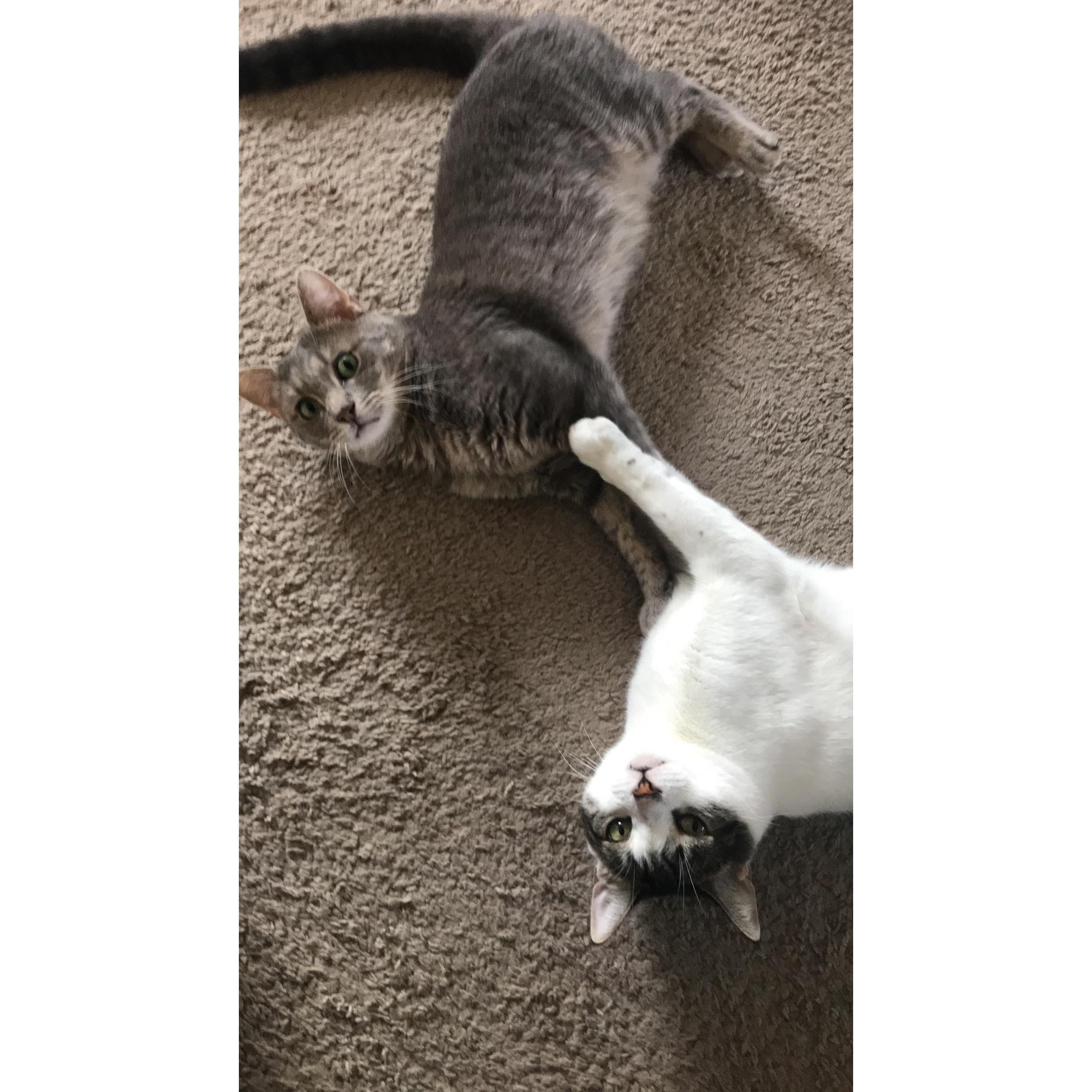 Buster & Charlie