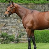 Horse Farm Tours