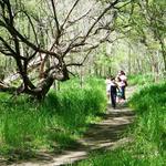 Heard Natural Science Museum & Wildlife Sanctuary