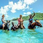 Horseback Ride & Swim