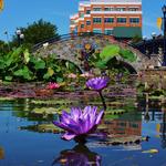 Historic Downtown Frederick