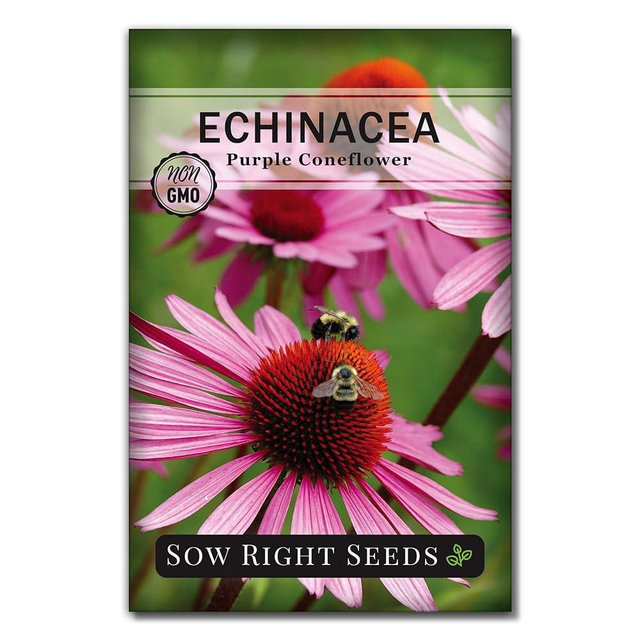 Sow Right Seeds - Purple Coneflower/Echinacea Flower Seeds for Planting - Non-GMO Heirloom - Plant for an Herbal Tea Garden - Attract Pollinators - Great Cut and Come Back Flower (1)