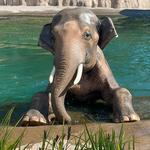 Oregon Zoo