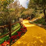 Land of Oz