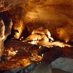 Cavernas del Rio Camuy National Park