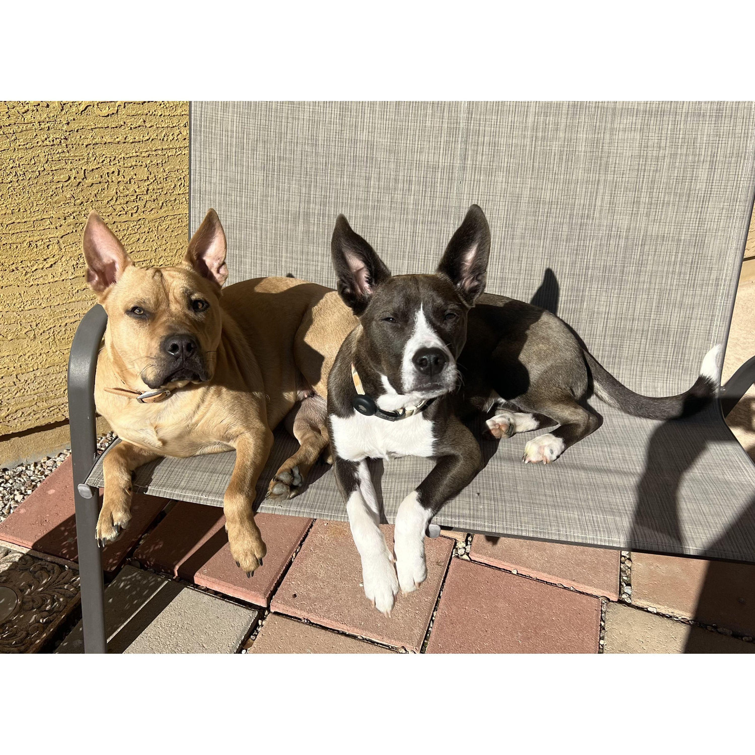 Our girls!