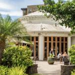 Full-Day Guided Hawaiian Food & Photo Tour