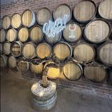 Viñedo San Miguel (Vineyard)