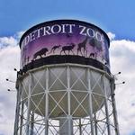 Detroit Zoo