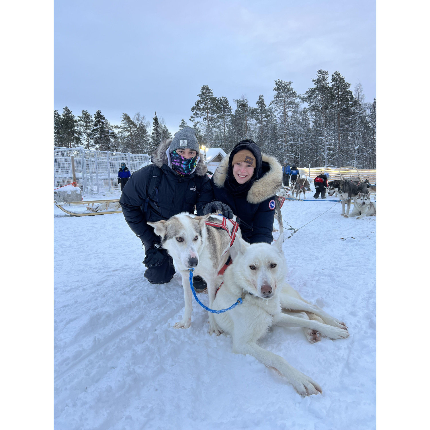 Husky sled tour in Rovaniemi, Finland. We were both freezing driving the sleds! We did inquire whether we could take one home…