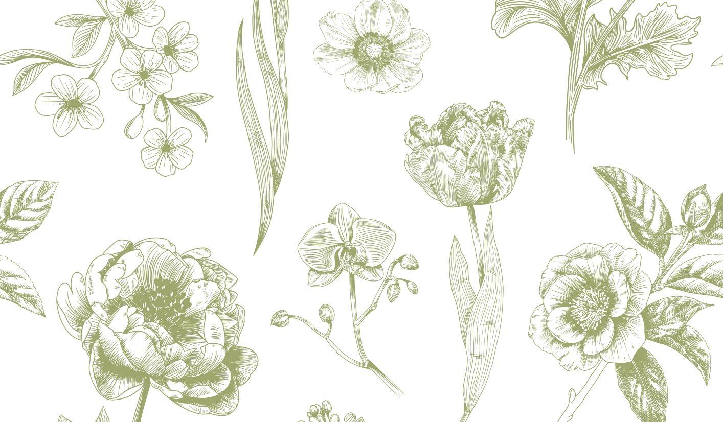 Footer image
